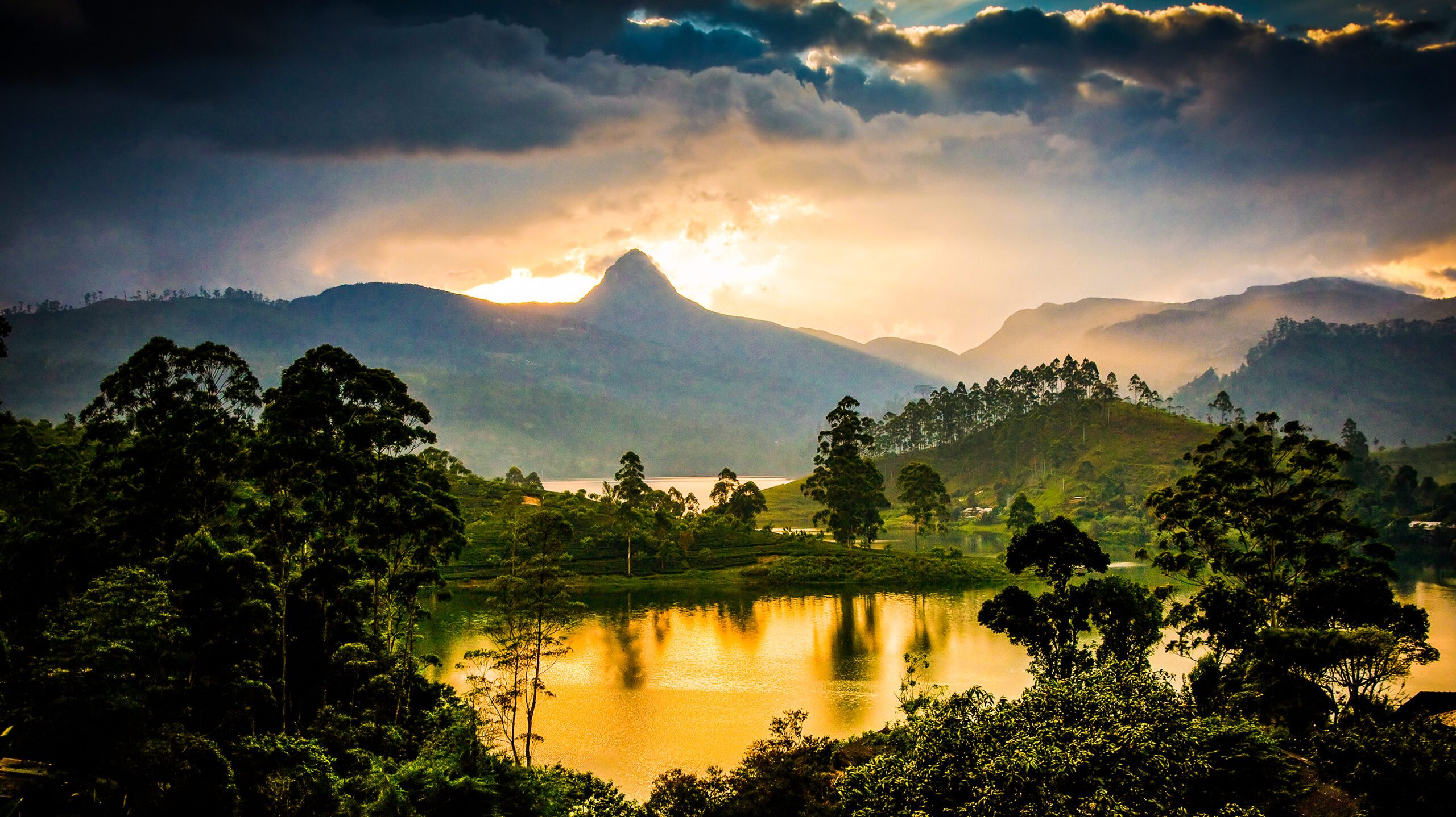 Panorama,Of,The,Tea,Plantations,At,Sunset,-,Sri,Pada